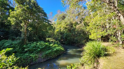Peacock Creek in Richmond Range National Park, NSW Australia © Imogen