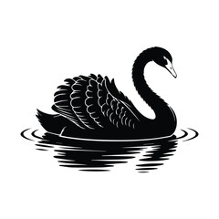 Elegant Black Swan Swimming Calmly on Water Vector Illustration with Clean Background