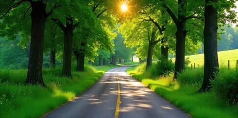 Obraz premium Serene winding road through lush green countryside, sun-dappled trees arching overhead, creating a picturesque driving scene Perfect for travel, nature, and landscape projects , summer, meadow