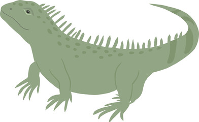 이구아나 파충류