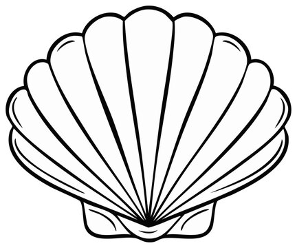 Simple scallop seashell line art illustration, black and white clam shell graphic icon