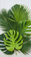 Assortment of Green Tropical Leaves on White Textured Background