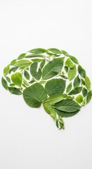 Brain Shape Composed of Green Leaves on a White Background