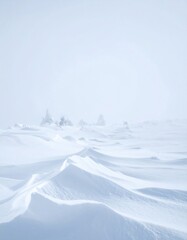 Snowy White Landscape with Drifting Snow Patterns and Distant Evergreen Trees on a Winter Day with Soft