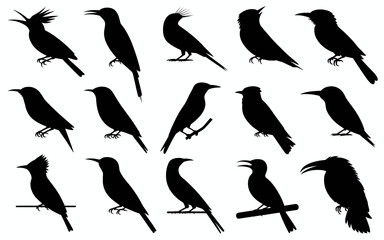 Vector art of set of various birds silhouettes for design use