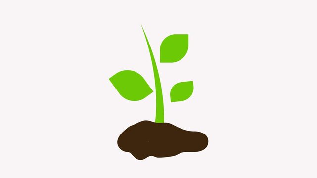 sprout  icon animation simple flat