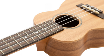 3d realistic ukulele fretboard and body close-up detail transparent background