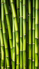 Obraz premium Close-up of vibrant green bamboo stalks (1)