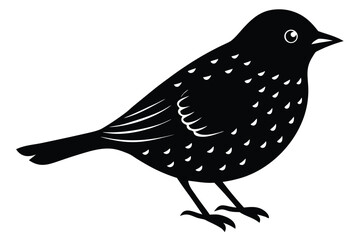 winter bird silhouette vector art icon