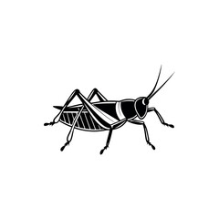 Monochrome vector illustration of a grasshopper, isolated against a white background