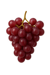 Fototapeta premium bunch of grapes