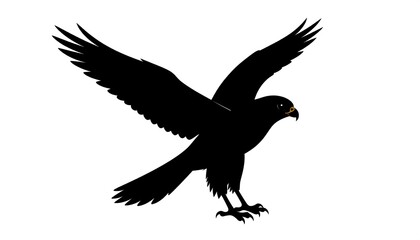 Obraz premium A bold silhouette of a soaring falcon, wings outstretched against a stark white background.