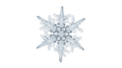 Magnificent Snowflake Isolated Winter Crystal on Black