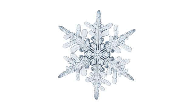 Magnificent Snowflake Isolated Winter Crystal on Black