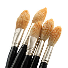 Close-up of several paintbrushes with light-brown bristles