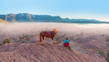 Brown horse at Bromo Tengger Semeru National Park at sunset - East Java, Indonesia