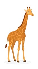 Fototapeta premium A cartoon giraffe stands tall against a plain white background, showcasing its distinctive spotted pattern and long neck.