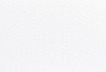 Subtle, uneven texture of unprimed white canvas, showing slight grain and weave,  cotton,  macro