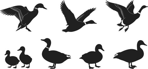 Duck silhouette vector, flying duck illustration, domestic bird graphic, farm animal design, wild waterfowl art, nature wildlife icon, duck drawing
