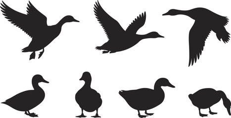 Duck silhouette vector, flying duck illustration, wild bird design, farm animal graphic, waterfowl art, nature wildlife icon, domestic bird drawing