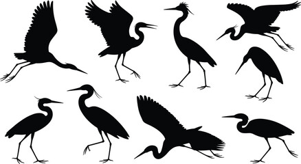 Heron bird silhouette collection, stork flying vector, crane illustration, egret standing design, exotic bird symbol, wildlife nature art, wading animal
