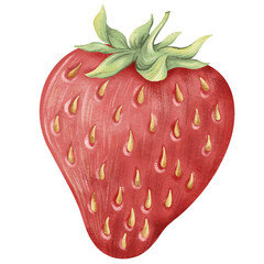 Fruit Clipart Illustration Set, Watercolor Style Digital PNG of Strawberry, Lemon, Orange, Watermelon and Tropical Fruits, Cute Hand Drawn Elements for Decoration and Design
