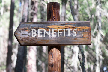 BENEFITS text written on a wooden signpost against a forest background. Banking business, finance and investment concept.