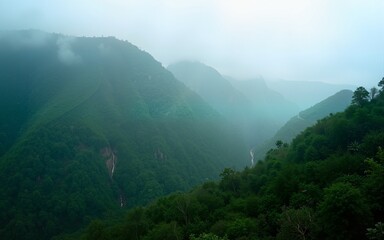 Naklejka premium Aerial View of Lush Green Rainforest Mountains with Fog. High quality