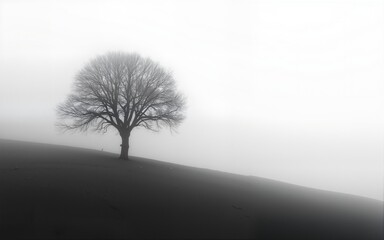 Solitary Tree on a Misty Hillside Black and White Landscape. High quality