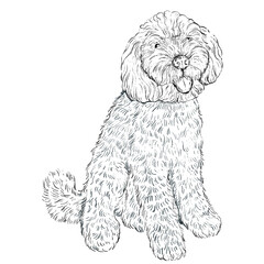 Dog and Cat Line Art Clipart Illustration Set, Black and White Outline Drawings of Cute Pets, Coloring Book Style Digital PNG Elements for Crafts, Stickers and Design