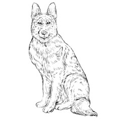 Dog and Cat Line Art Clipart Illustration Set, Black and White Outline Drawings of Cute Pets, Coloring Book Style Digital PNG Elements for Crafts, Stickers and Design