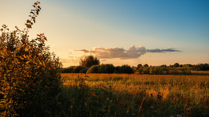 Autumn landscape with trees and beautiful sky.