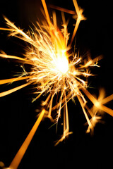 Obraz premium Single Sparkler Burning with Bright Golden Sparks