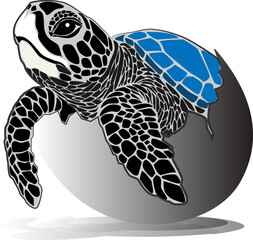 The turtles hatch from their eggs towards the ocean.turtle design on a white background,icon