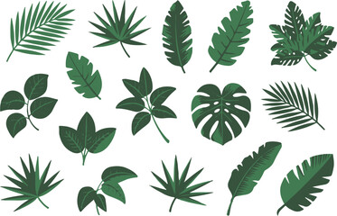 exotic tropical foliage set ai eps jpeg png botanical leaf vector pack for summer nature design