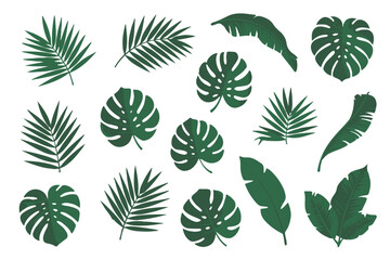 tropical foliage illustrations seamless leaf patterns evergreen jungle rainforest greenery ai eps vector graphics