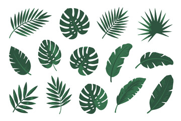 botanical vector pack tropical leaves seamless pattern set for packaging textile wallpaper design ai eps jpeg png © AIcon Star