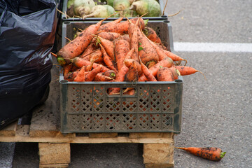 Fresh dirty carrots in a plastic crate on a wooden pallet at a street market, unsanitary food trade concept. Photo
