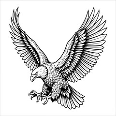 Bold Majestic Eagle in Flight A Black and White Illustration