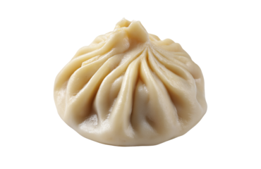 a photorealistic image of an oversized dumpling, with the skin beige and slightly brown in color, against a white background. the dough is delicate yet light, and it is cradled by its parts into one l