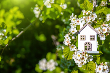 The symbol of the house among the branches of the hawthorn
