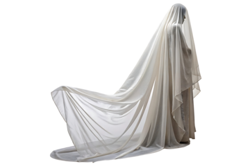 Mysterious Woman Veiled Figure, isolated on transparent background