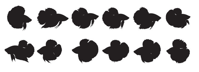 betta fish silhouette white background vector