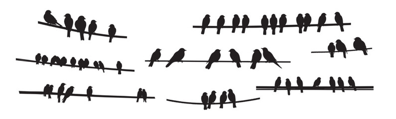 birds sitting silhouette white background © Gura