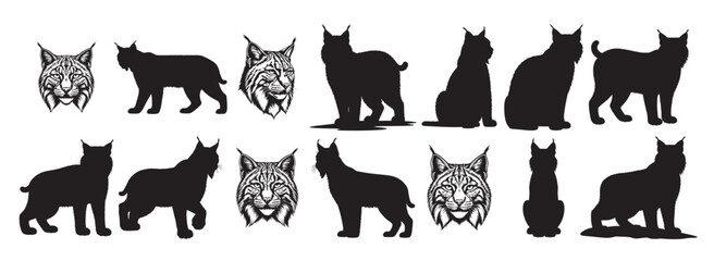 bobcat silhouette white background © Gura