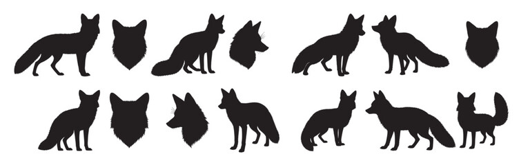 01519644 - Original name(s): 