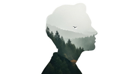 Contemplative silhouette Natures forest mind