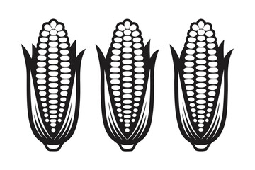 Corn on the Cob Illustration, Detailed Maize in Black and White on White Background
