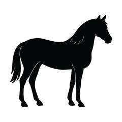 Silhouette of a Horse Standing Proudly