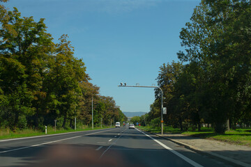 A picturesque road landscape featuring trees, a traffic signal, and a clear blue sky, ideal for...